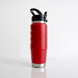 Fridgy Cruise 750ml Car-Holder-Compatible Insulated Stainless Bottle