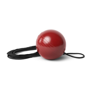 SKLZ Cricket Batball Trainer ball on string