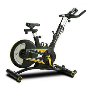 Bodyworx AIC850 Rear-Wheel Spin Bike