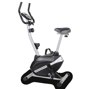 Body works 2025 exercise bike